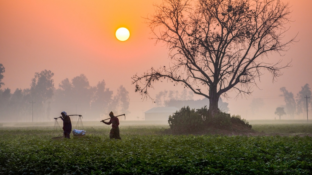 Tomorrow’s Weather: লেপ কম্বলের কাজ শেষ, এবার গরমের পালা! কেমন থাকবে আগামীকালের আবহাওয়া | South Bengal Weather Winter Update