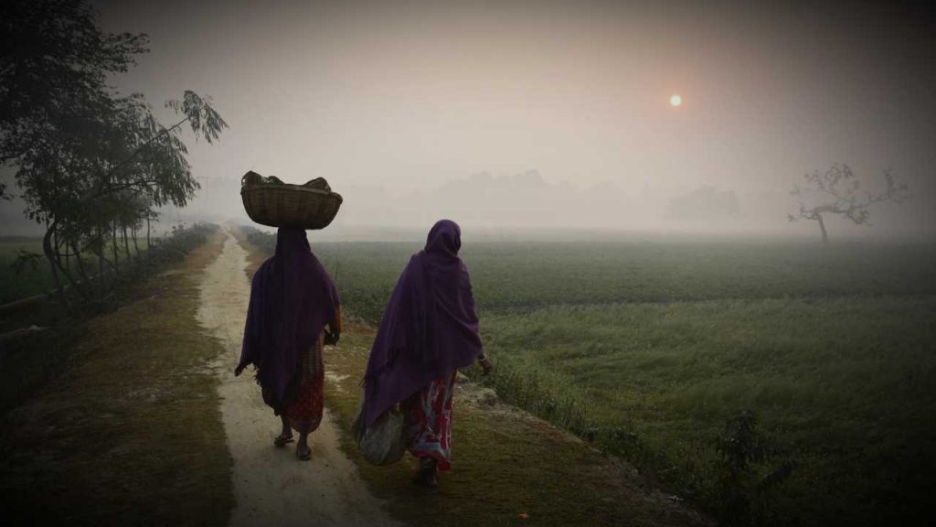 Weather today: সরস্বতী পুজোর আগেই ফের জাঁকিয়ে শীত, কতটা নামবে তাপমাত্রা? আজকের আবহাওয়া | South Bengal Winter Weather Report today