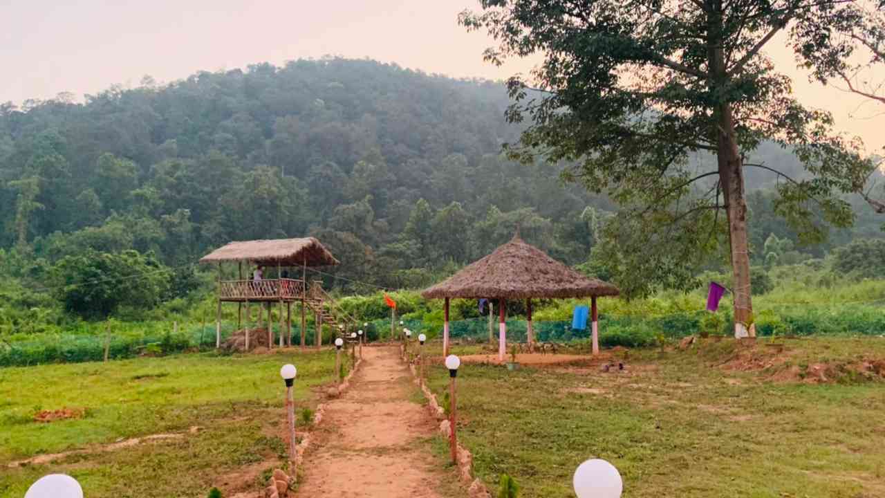 Jhargram Tourism: কলকাতার খুব কাছেই, শীতে ঘুরে আসুন টেনিদার জঙ্গল থেকে! পাবেন পাহাড়, নদী, জলপ্রপাত | Visit Knakrajhore tenida Jungle