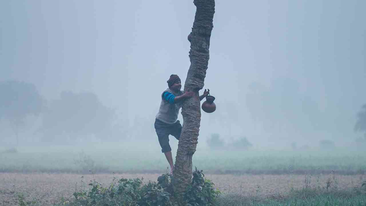 south bengal weather 1