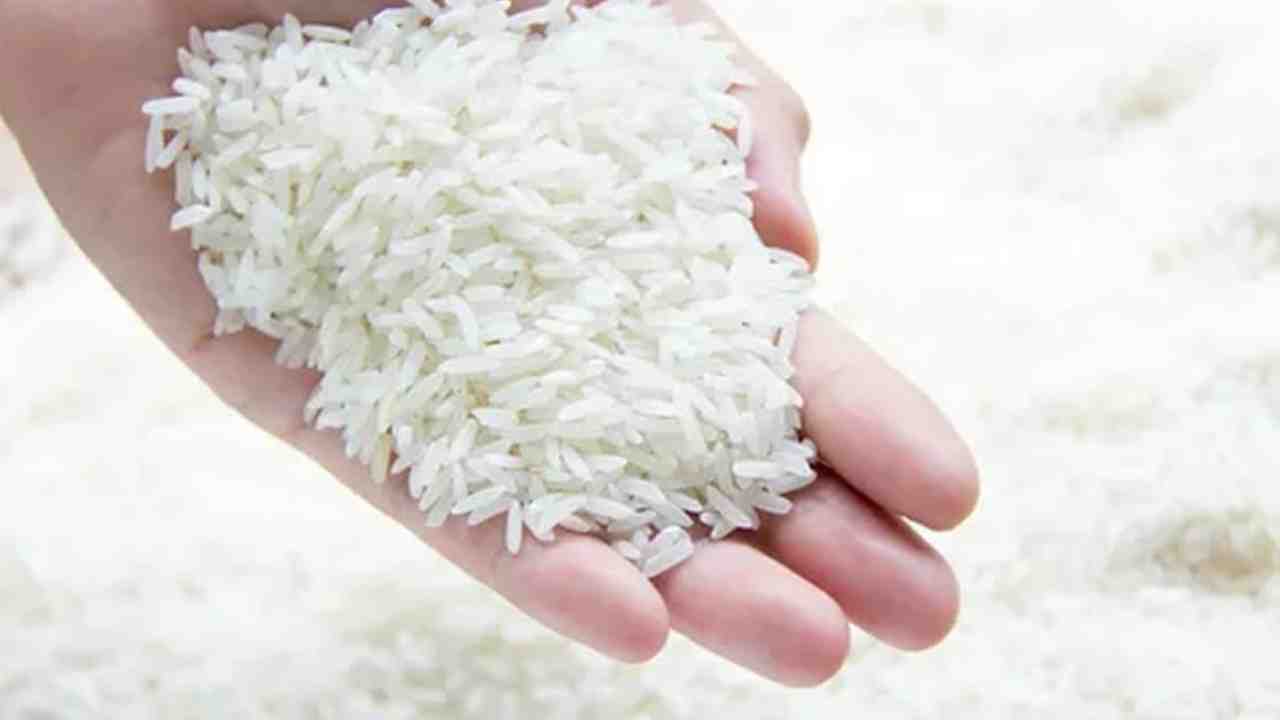 free ration rice